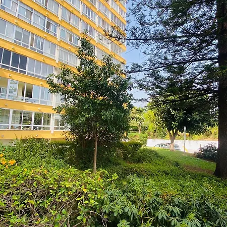 Apartment Terrazas Del Sol