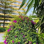 Lägenhet Terrazas Del Sol Fuengirola