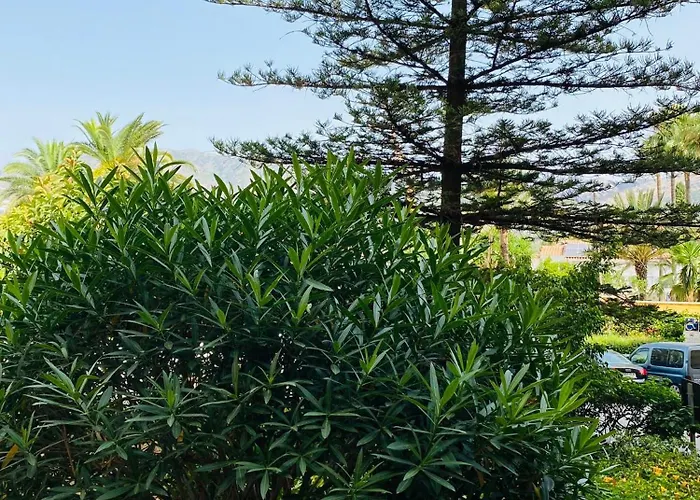 Appartement Terrazas Del Sol