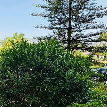 Apartamento Terrazas Del Sol