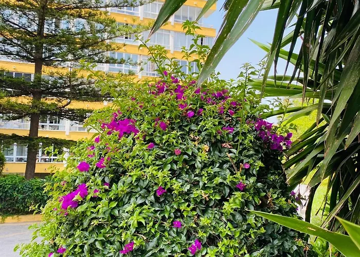 Apartment Terrazas Del Sol Fuengirola